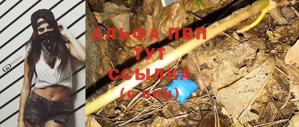 гидропоника Белокуриха