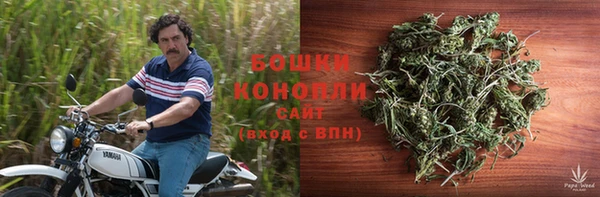 гидропоника Белокуриха