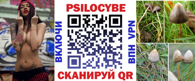 хочу наркоту  Воркута  Галлюциногенные грибы прущие грибы 